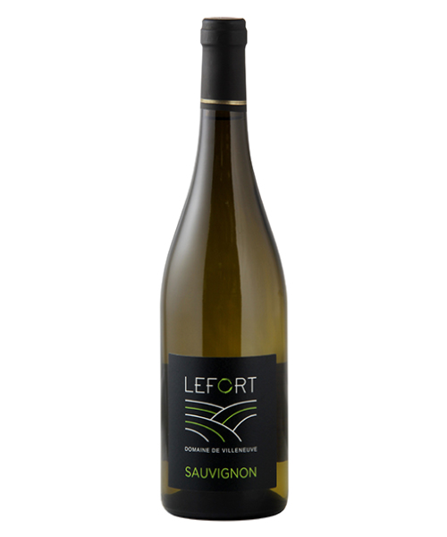 Sauvignon – Blanc – Sec